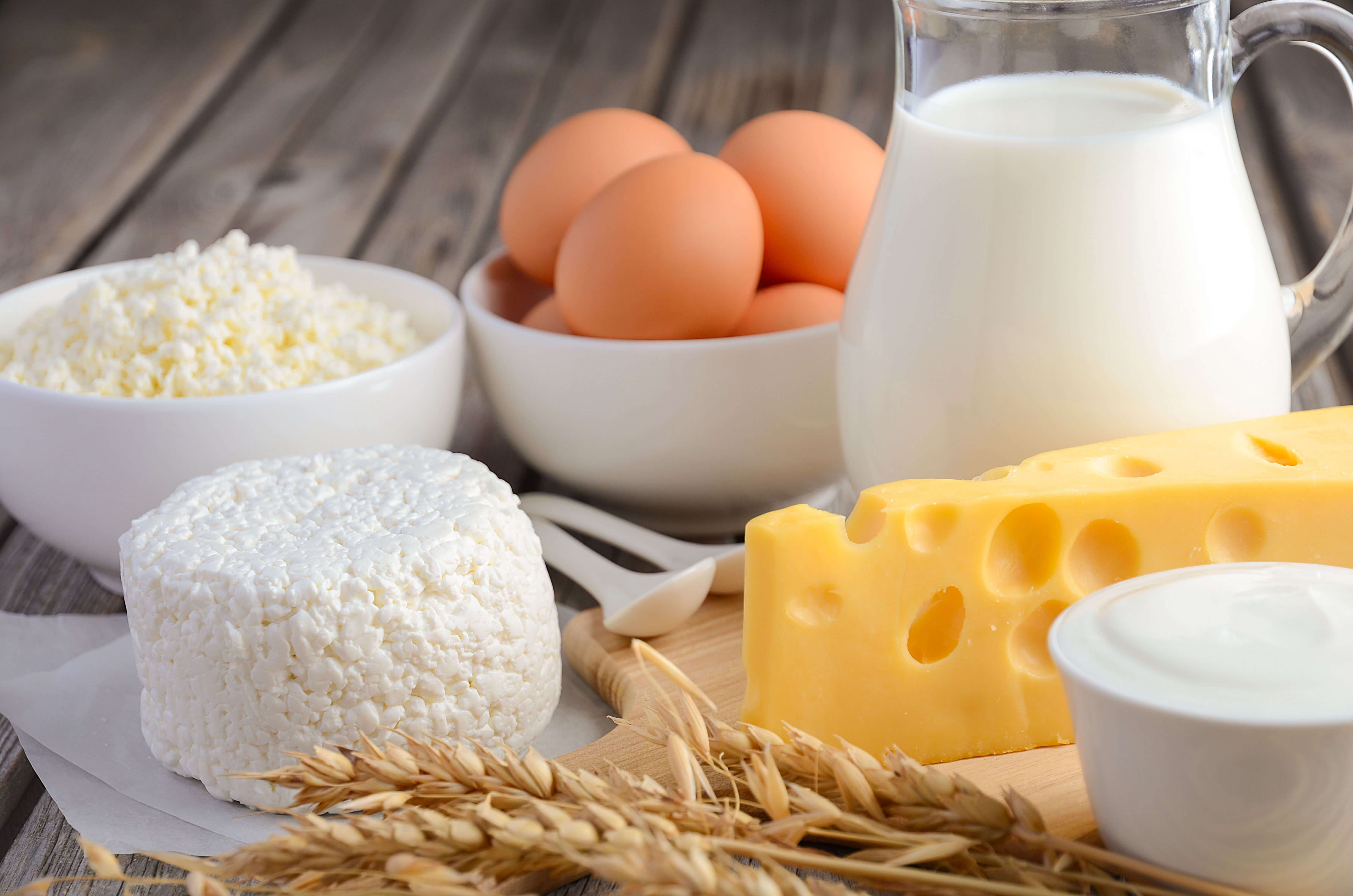 pre colonoscopy diet